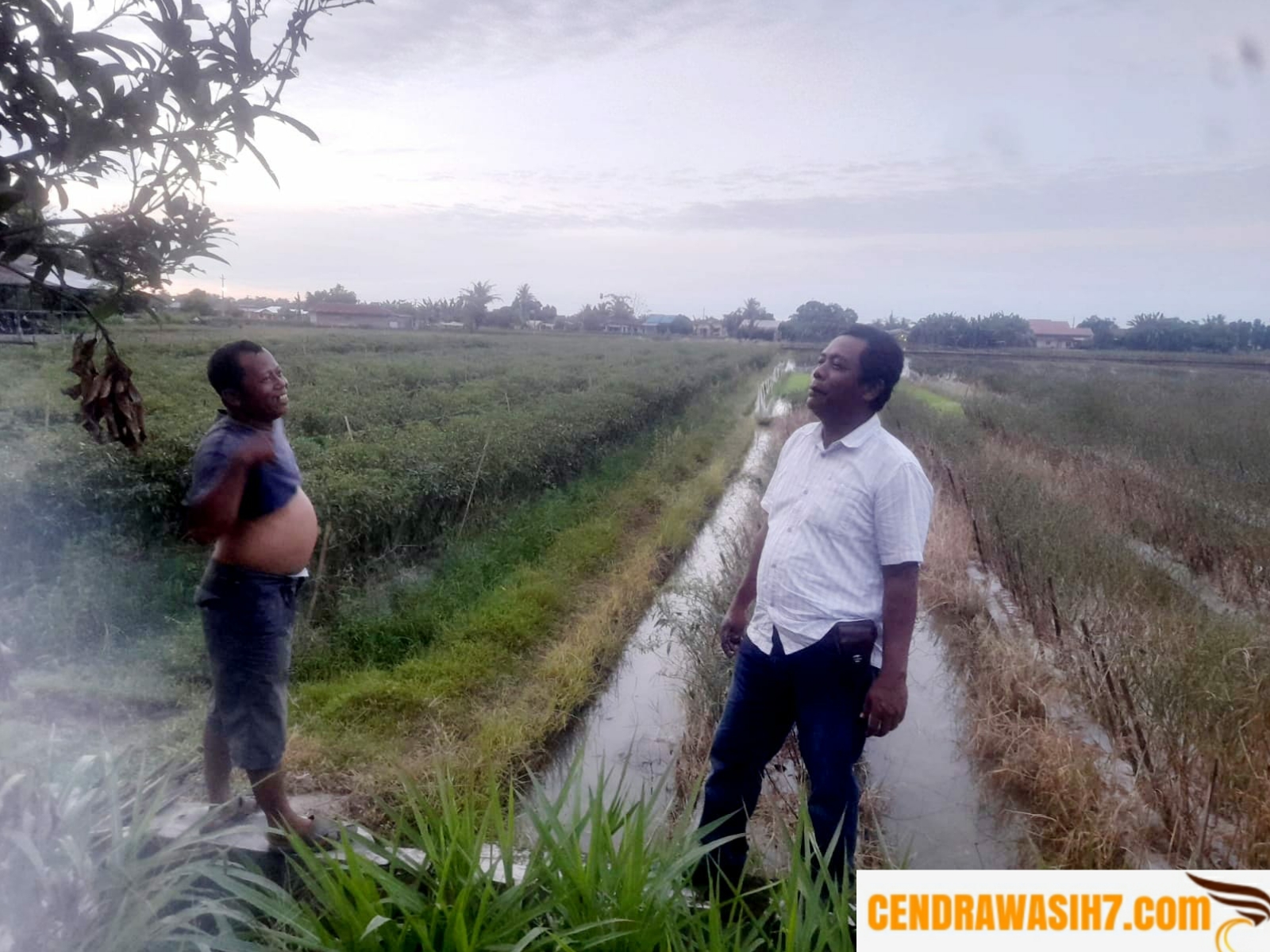 Petugas Kepolisian Menelusuri Terkait Isu Petani Racun Cabai, dan Jawaban Petani Cabaii Bertolak Belakang Dari isu Yang Berkembang