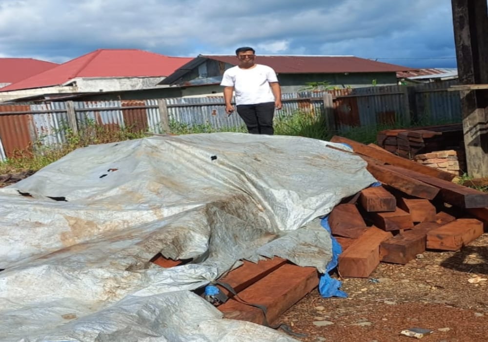 Masyarakat Minta Kapolri, Perintahkan Kapolda Papua Barat Daya, Tindak Tegas Ilegal Logging