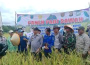 Bupati Lahat, Bursah Zarnubi,SE. Hadiri Panen Bersama di Desa Pagar Jati, Kikim Selatan