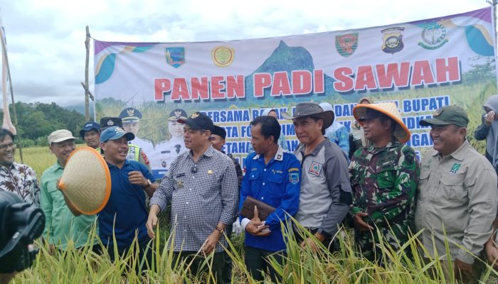Bupati Lahat, Bursah Zarnubi,SE. Hadiri Panen Bersama di Desa Pagar Jati, Kikim Selatan