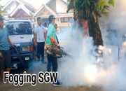 Pemdes Selogudig wetan Hadirkan Petugas Fogging, Antisipasi Adanya Sarang DBD