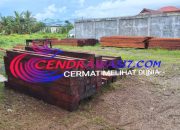 Gudang Kayu Misterius di Kabupaten Sorong Terungkap, Pihak Berwenang Diminta Segera Bertindak