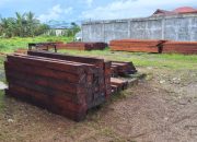 Gudang Penampung Kayu Pacakan Milik Pengusaha Bernama Jeri, Beoprasi Dengan Bebas