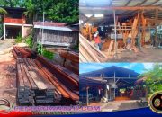 Terlalu Bebas Usaha Perabot Diduga Menggunakan Kayu Ilegal, Sawmill Jalan Suteja Kebal Hukum