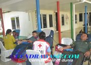 Donor Darah Pasmar 3 Dan Pertamina EP Papua Field Zona 14: Wujud Kepedulian Terhadap Kemanusiaan