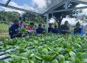 “Wayame Hydro Bae”, Inovasi CSR Pertamina Bawa Air Bersih dan Dongkrak Ekonomi Warga Ambon