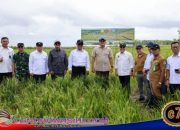 Wanam dirancang sebagai Proyek Strategis Nasional (PSN) untuk Pusat Cadangan Pangan Nasional Wanam