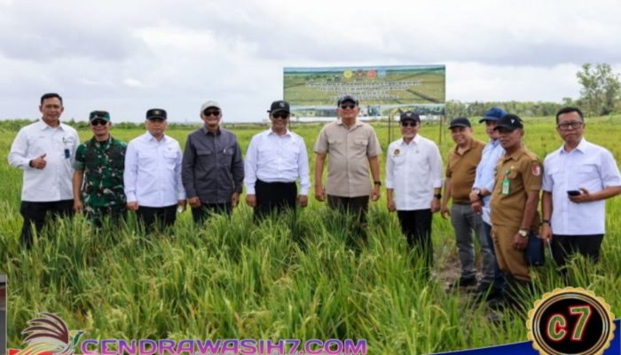 Wanam dirancang sebagai Proyek Strategis Nasional (PSN) untuk Pusat Cadangan Pangan Nasional Wanam