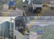 Diduga Olah Kayu Ilegal, Aktivitas CV. Alco Timber Irian Milik “Minho” Dipertanyakan — Truk Kayu Melintas di Depan Polres Tanpa Tindakan