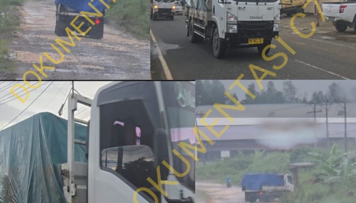 Diduga Olah Kayu Ilegal, Aktivitas CV. Alco Timber Irian Milik “Minho” Dipertanyakan — Truk Kayu Melintas di Depan Polres Tanpa Tindakan