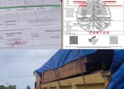 Gakkum Diduga Terima Upeti, Kayu Ilegal CV Alco Timber Irian Bebas Melintas