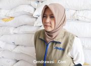 Realisasi Serapan Bulog Merauke Tembus 141 Persen di 2025, Target 2026 Jadi Tantangan