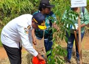 DLHKP Papua Selatan Tanam Ribuan Pohon di Kawasan Perkantoran KTM Salor