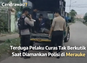 Terduga Pelaku Curas Tak Berkutik Saat Diamankan Polisi di Merauke