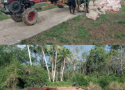 TMMD Ke-127 Kodim 1704/Mappi Hari Keempat di Yibin, Satgas Genjot Pembangunan Rumah dan MCK  ‎