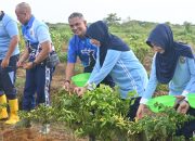 Lanud J.A. Dimara Panen Semangka hingga Cabai, Dua Hektare Lahan Disulap Jadi Sentra Pangan