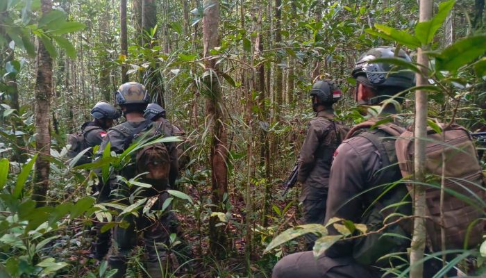 Jalur Rawan Disisir, Satgas Cartenz Temukan Ratusan Anak Panah hingga Senapan Angin