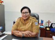 Papua Selatan Siap Teken MoU dengan RS Rujukan Nasional, Perkuat Layanan Penyakit Kritis
