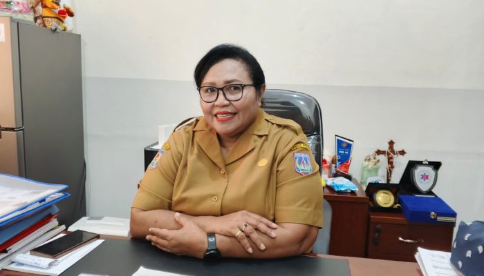 Papua Selatan Siap Teken MoU dengan RS Rujukan Nasional, Perkuat Layanan Penyakit Kritis