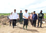 Cetak Sawah Diperluas, Kementan Targetkan 50 Ribu Hektare di Merauke  ‎