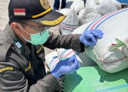 Ribuan Kilo Cengkeh Natuna Diperiksa, Karantina Jamin Kualitas dan Kesehatan  ‎