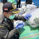 Ribuan Kilo Cengkeh Natuna Diperiksa, Karantina Jamin Kualitas dan Kesehatan  ‎