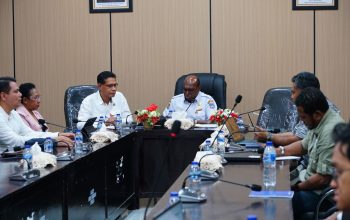 Gandeng GGGI, Pemprov Papua Selatan Bentuk Forum Energi Daerah