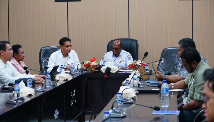 Gandeng GGGI, Pemprov Papua Selatan Bentuk Forum Energi Daerah