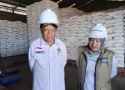 Produksi Padi Merauke Turun Drastis, DPR RI Sebut Petani Terancam Rugi