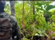Jenazah Korban Ketiga Penembakan OPM di Yahukimo Berhasil Dievakuasi, TNI Gunakan Teknik Vertical Rescue  ‎