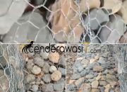 Proyek Bronjong Tapsel Disorot, PPTK Diduga Abaikan Pengawasan