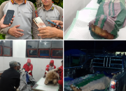 Penembakan Pekerja Jalan di Tolikara, 5 Tewas dan 5 Selamat Dievakuasi