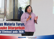 Kasus Malaria Turun, Merauke Ditargetkan Capai Eliminasi pada 2028