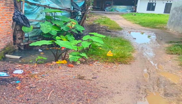 Anggaran Desa Diduga Terserap Program Titipan, Warga Tanoh Anoe Keluhkan Limbah dan Genangan
