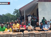 Produksi Ayam Petelur Diluncurkan, Bupati Mappi Bidik Kemandirian Pangan