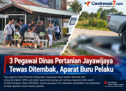 3 Pegawai Dinas Pertanian Jayawijaya Tewas Ditembak, Aparat Buru Pelaku