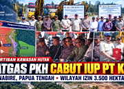 Satgas PKH Cabut IUP PT KEL di Nabire, Papua Tengah, Seluas 3.500 Hektare