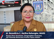 Kabut Asap di Papua Selatan, Kasus ISPA Meningkat di 4 Kabupaten
