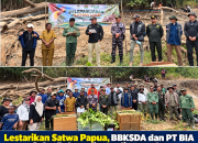 Lestarikan Satwa Papua, BBKSDA dan PT BIA Gelar Pelepasliaran di Merauke