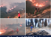 Kebun Sawit PT TSE Terbakar, Api Diduga Merambat dari Hutan Perbatasan  ‎