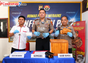 Bukan Sekadar Ikan Asar! Polisi Temukan 438 Gram Ganja dalam Cool Box Kiriman dari Jayapura